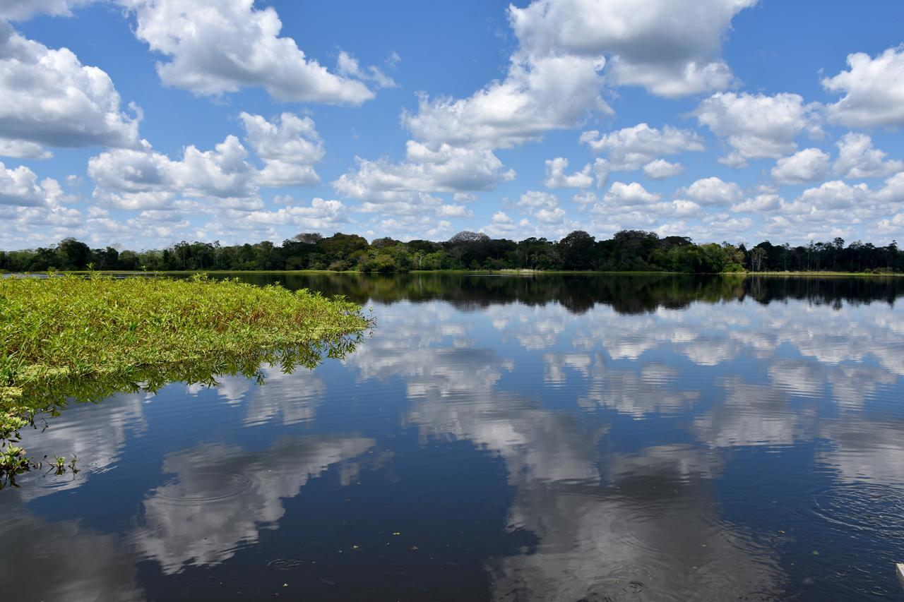 Yaku Amazon Lodge & Expeditions Paraiso Ngoại thất bức ảnh